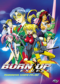 [Burn Up Excess box art]