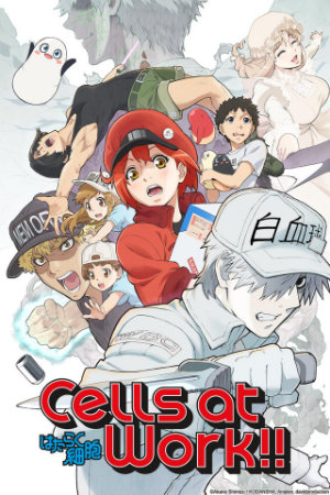 THEM Anime Reviews  - Cells At Work! (Season 2)