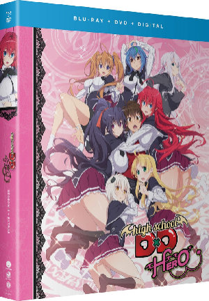 THEM Anime Reviews 4.0 - High School DxD Hero