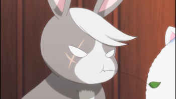 is the order a rabbit watch order download is the order a rabbit watch order download